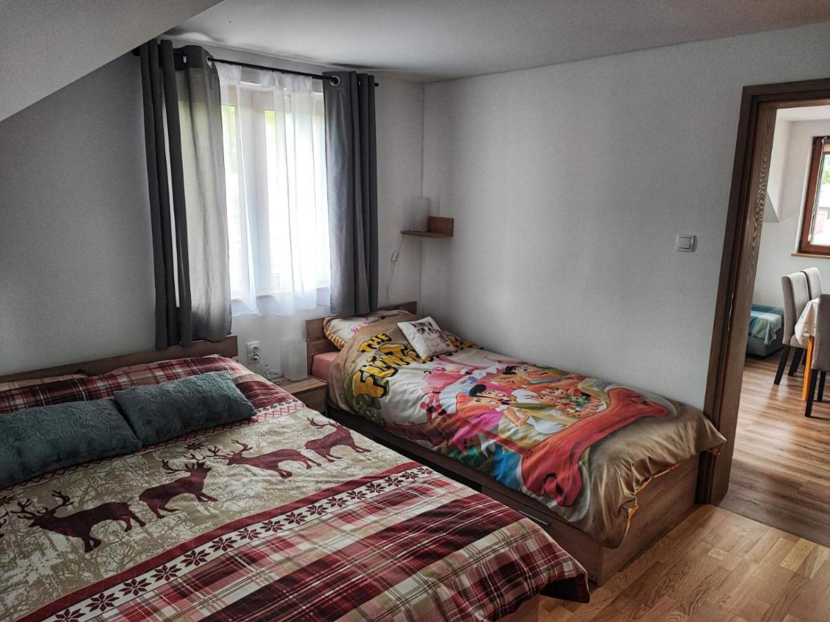 Apartman 2 Ribic Ogulin Exterior photo