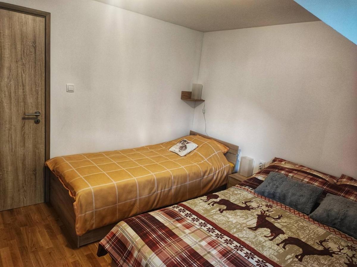 Apartman 2 Ribic Ogulin Exterior photo